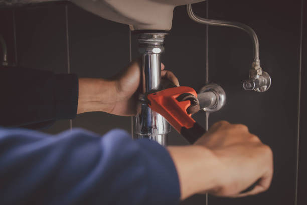 Best Plumbing Inspection Services  in Greenup, IL